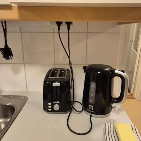 Spacious 4br Saerkilahti Савонлинна